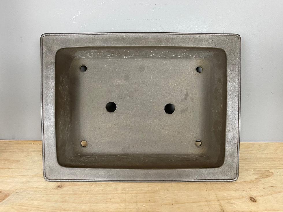 Thumbnail: Tokoname bonsai pot - Masuyama