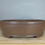 Thumbnail: Tokoname bonsai pot - Gyouzan