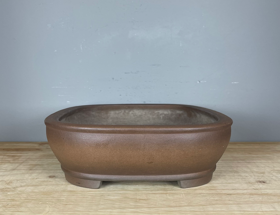 Thumbnail: Tokoname bonsai pot - Izumiya (Zenigo)