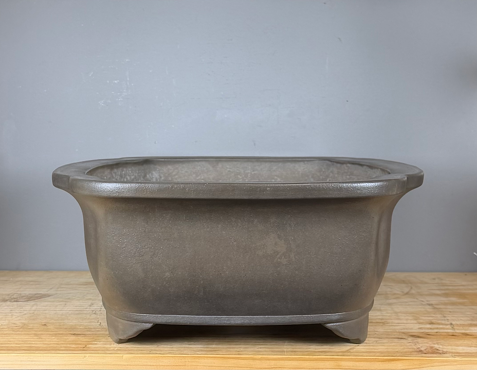 Thumbnail: Tokoname bonsai pot - Gyouzan