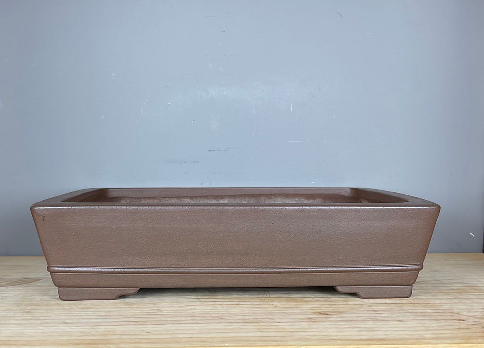 Tokoname bonsai pot Gyouzan.