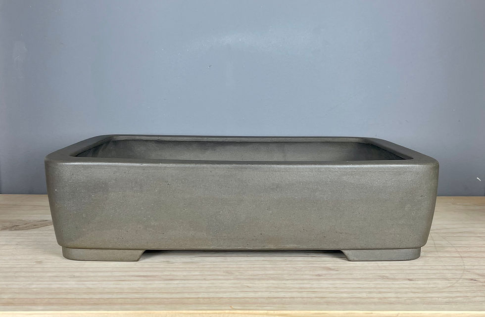 Thumbnail: Tokoname bonsai pot - Souzan