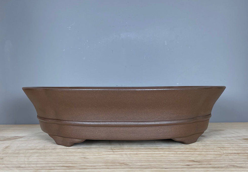 Tokoname bonsai pot - Gyouzan (Mr. Yujji Nakano)