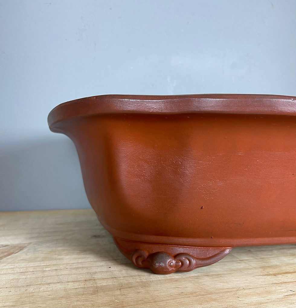 Thumbnail: Tokoname bonsai pot