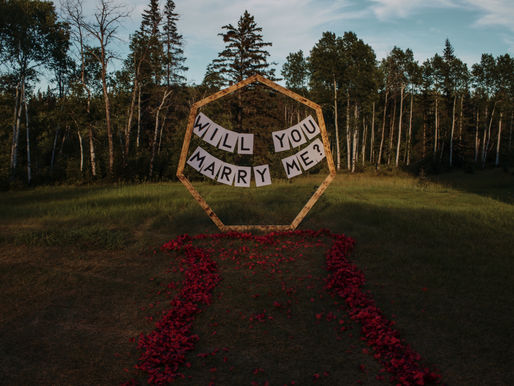 surprise proposal! with video at the end:)