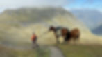 5 day horse tour