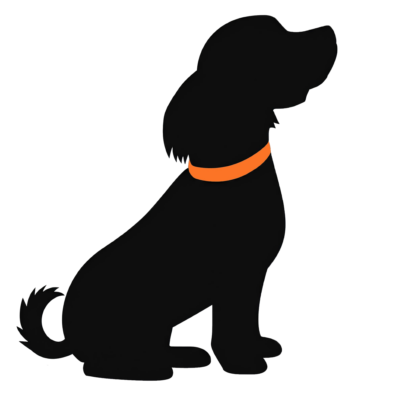 Academy caninepointacademy