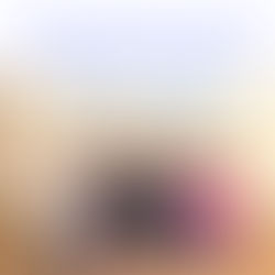 ９月のイベント報告