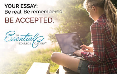 Essay Services