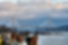Website Background.jpg