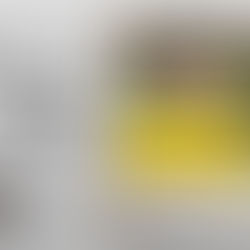 Linha de Scout #005 - Jadon Sancho