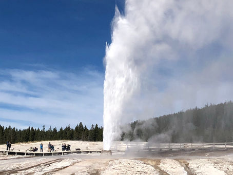 My epic journey through Yellowstone: geysers, canyons, and wildlife encounters