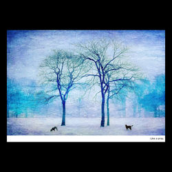 Like a pray～祈るように～