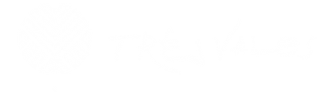 BANNER SERFATY (15).png