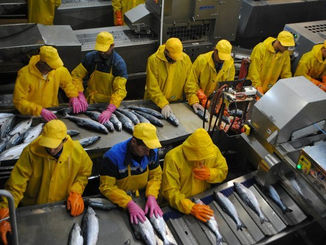 Как заработать в летний период