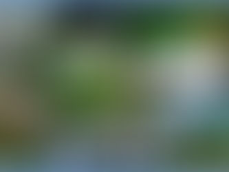 Прими участие в вебинаре по корпоративному волонтерству