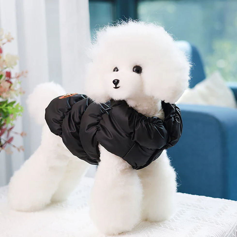 Thumbnail: Puffy Cat/Dog Vest