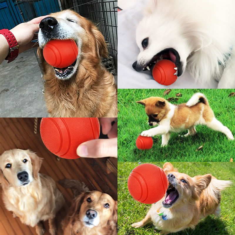 Thumbnail: Bite Resistant Rubber Ball 