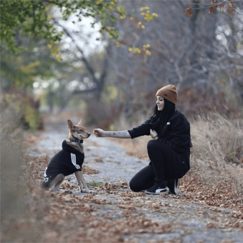Thumbnail: ADIDOG Hoodie for dogs