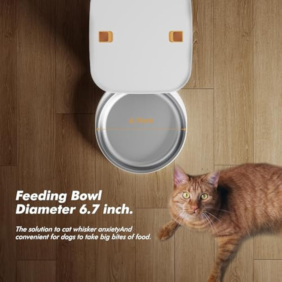 Thumbnail: 8L Smart-Automatic Food Dispenser With 1080 HD Camera, WiFi, APP CONTROL