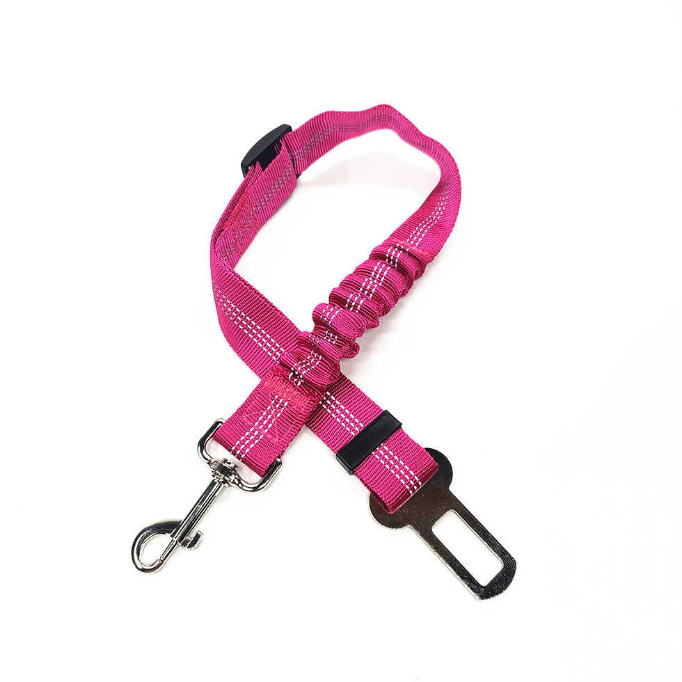 Thumbnail: Dog Leash with Seat Belt Buckle