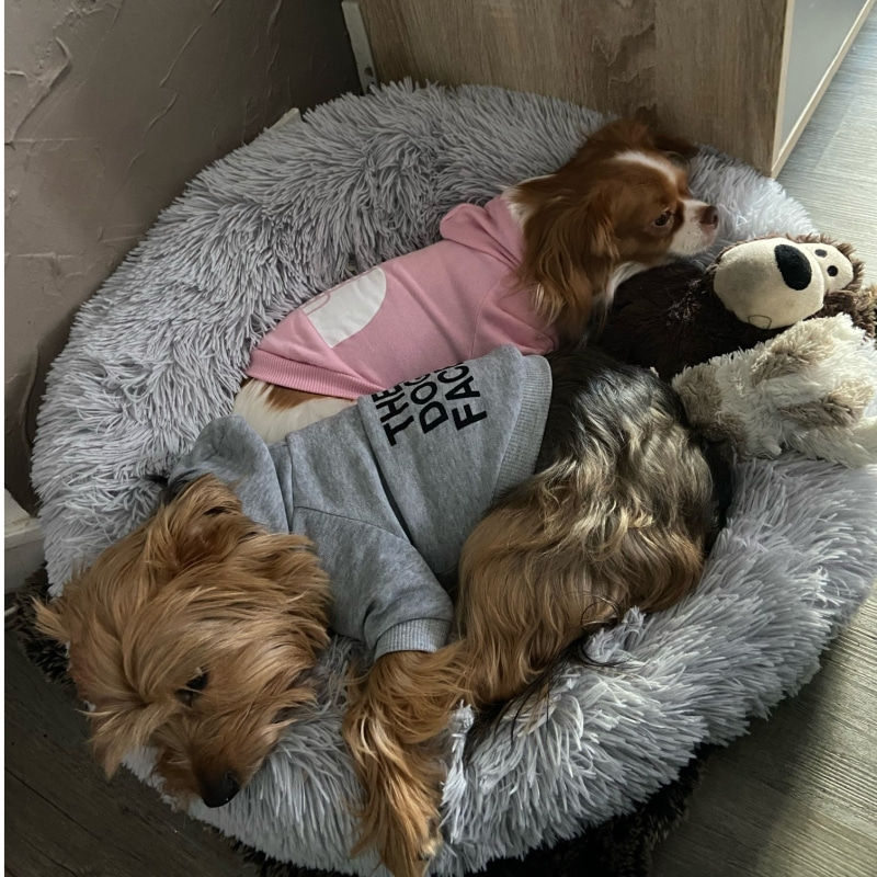 Thumbnail: The Dog Face- Dog Hoodies