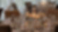 VO106334_edited.jpg