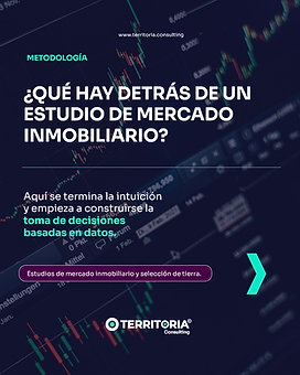 Estudios de mercado inmobiliario y análisis de big data para desarrolladores - Territoria Estudios Inmobiliarios