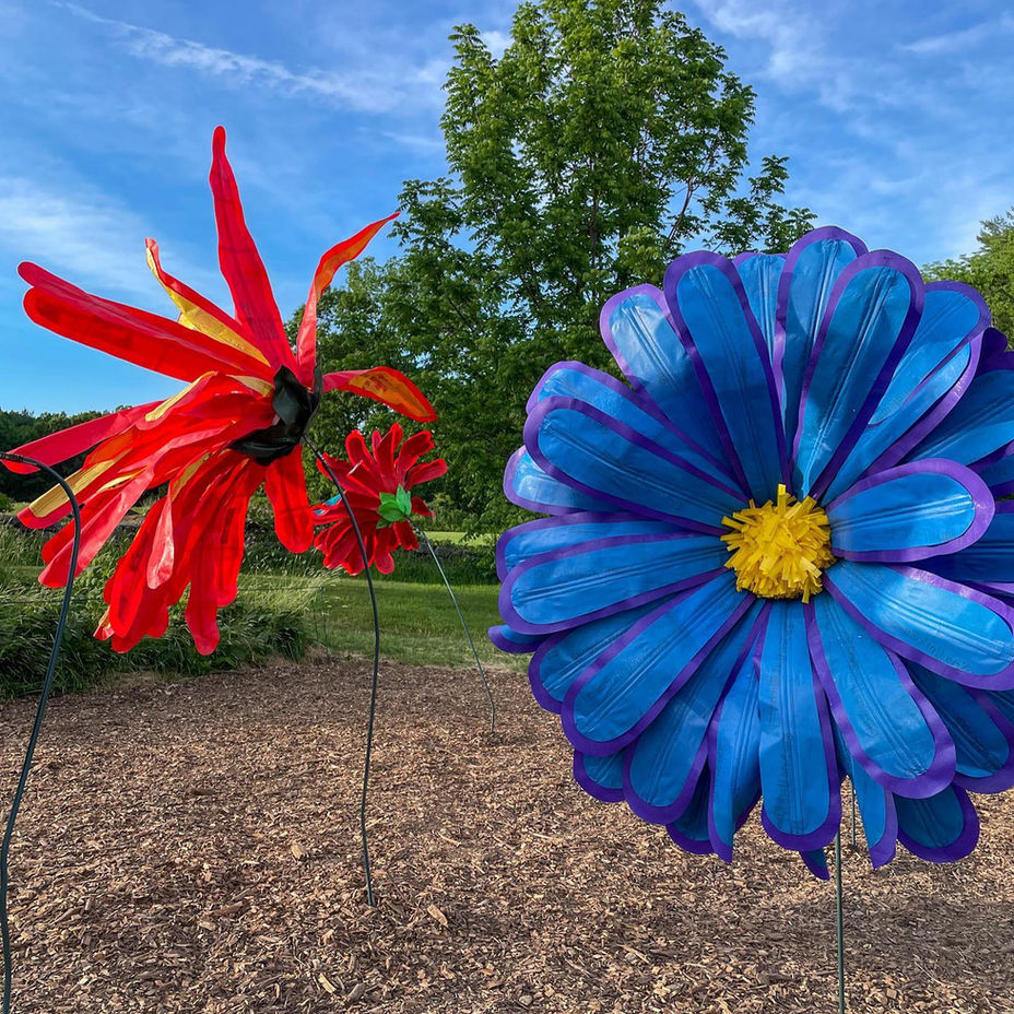 Tower Hill Botanic Garden, Proboscis Paradise, 2021