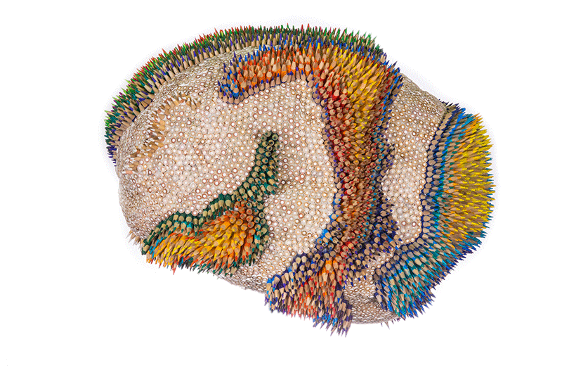 mollygambardella-thebrainproject.gif