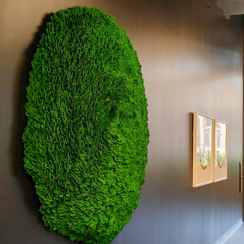 Molly Gambardella, Caloplaca Lichen green 1, silk, wood, cotton, polyfil, acrylic, 72 x 72