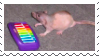 neil.png