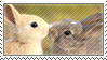 bune.png