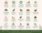 shop_edited_edited.jpg