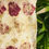Thumbnail: zoomed image of Bageeya's love rose organic cushion