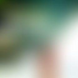 Promoção descanse na rede com a Ceitel