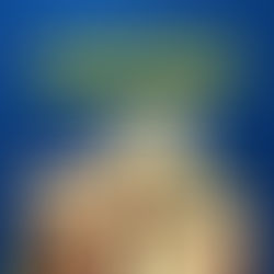  Você sabe qual a função do LNBF?