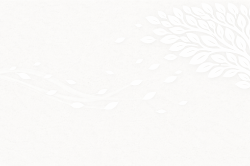 Fondo gris.png