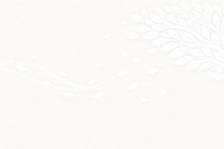 Fondo gris.png