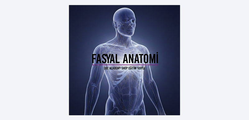 İnsan bedenindeki fasyal ağın katmanlarını ve bütünsel yapısını gösteren profesyonel medikal illüstrasyon.