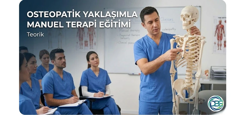 Uzman fizyoterapist, anatomik iskelet modeli üzerinde osteopatik manuel terapi teorik eğitimi anlatı