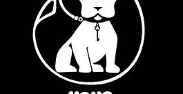 Exciting News from Keys Kennelz! – Our First Official Update