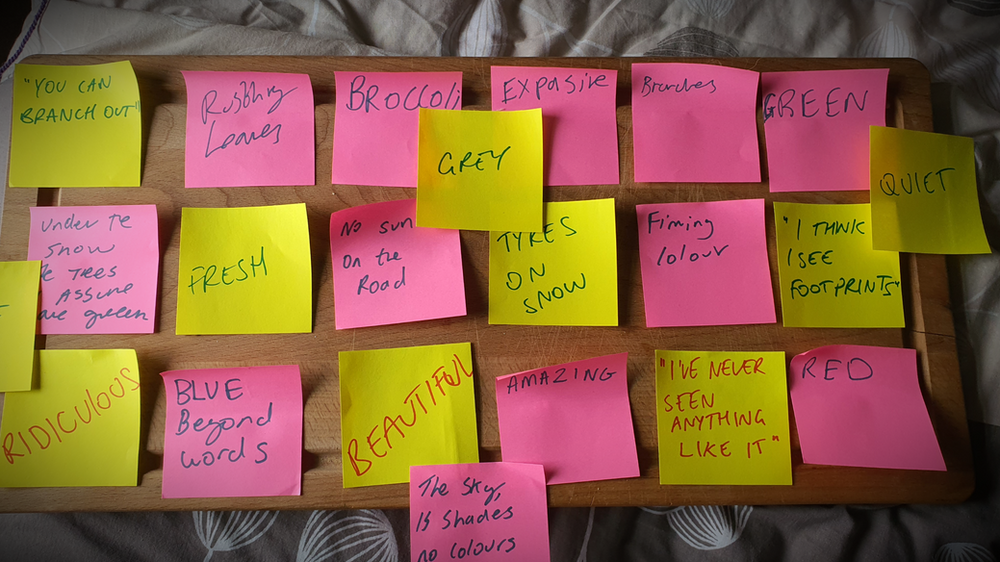 a board covered in pink and yellow post-it notes. Each has a word or phrase on it including beautiful, fresh you can branch out, blue beyond words, branches, ridiculous