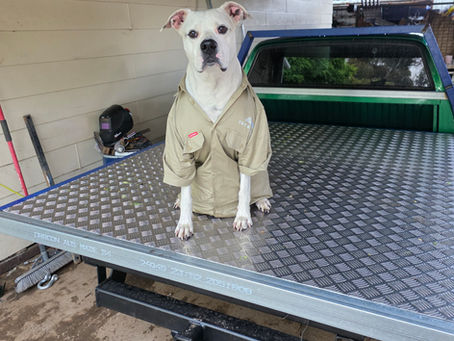 Cora’s Weekly Roofing Blog – Weather Ups and Downs, But We’re Still Rolling!