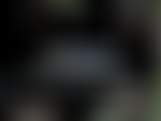 🐾 Cora’s Weekly Roofing Blog – Storms, Standby Paint & Gutter Makeovers