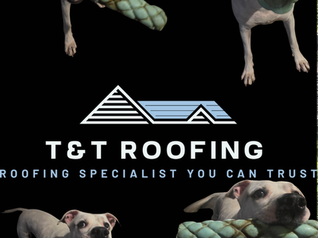 🐾 Cora’s Weekly Roofing Blog – Storms, Standby Paint & Gutter Makeovers