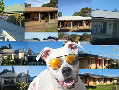 🐾 CORA’S ROOFING BLOG 🐾