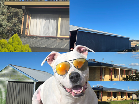 🐾 Cora’s Weekly Roofing Blog 🐾 the wetter seasons coming