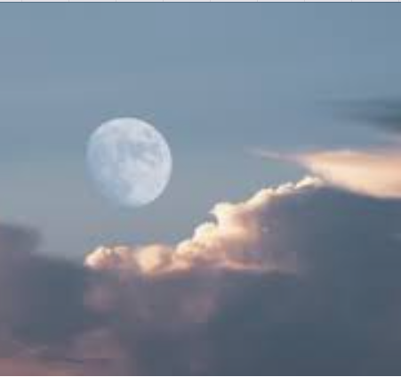 Thumbnail: Annual Report