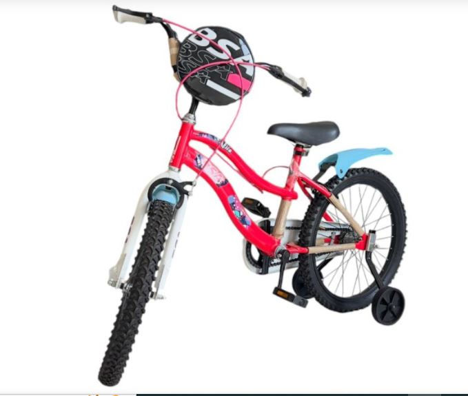 BSA Girls Bicycle 20"